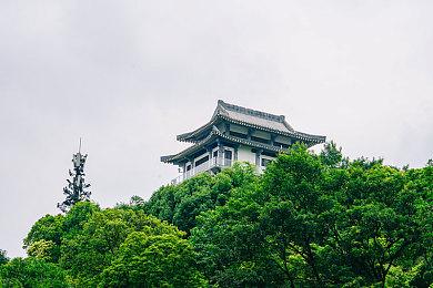 迪士尼动画风格恐怖游戏《再见甜蜜卡罗尔》公布