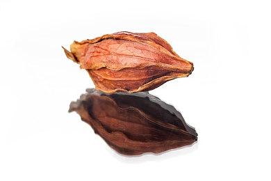 《怪物猎人物语2》角色介绍视频之狩猎高手李维特